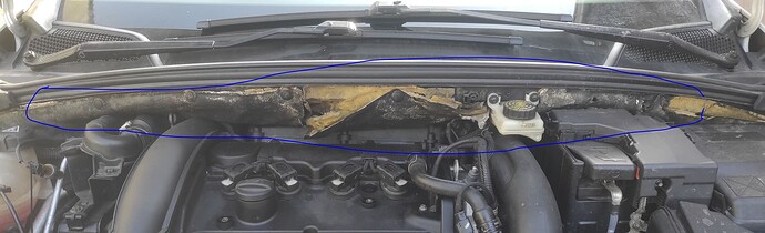 Citroen DS4